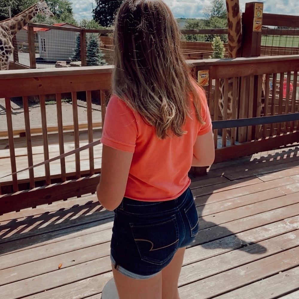 AEO Dark Wash Ripped Shorts